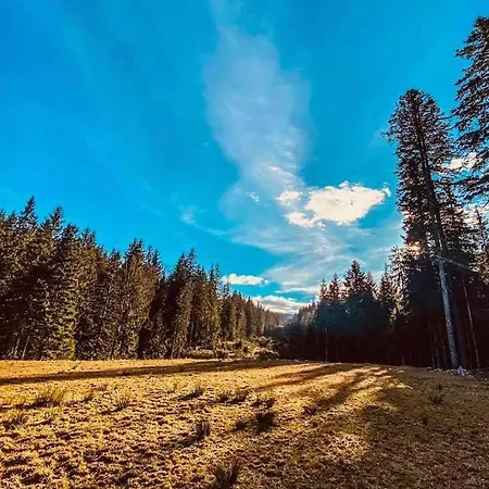 Wanderlust-ravna Planina